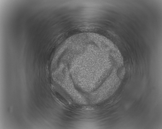 X0000066490749200604141656