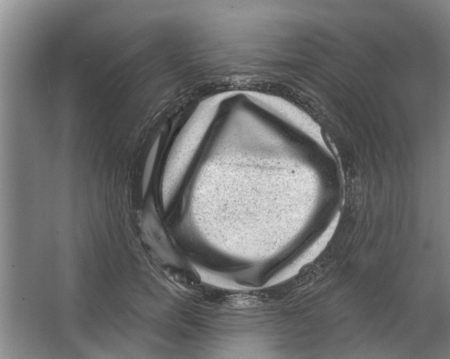 X0000066490750200604141656
