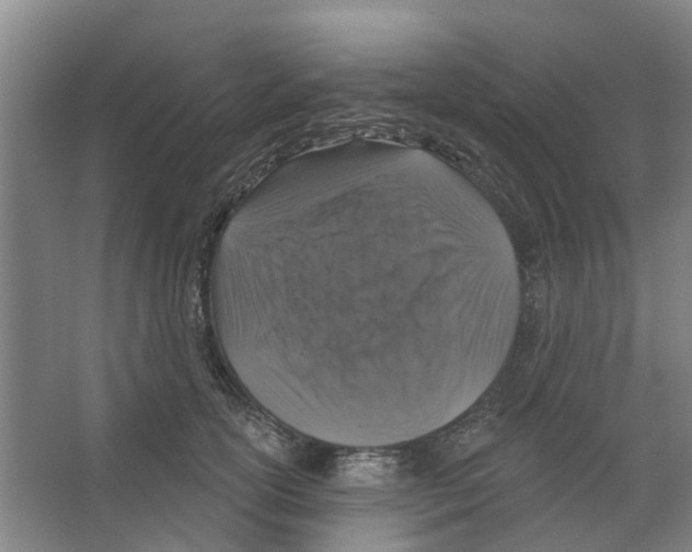 X0000066490754200604141656