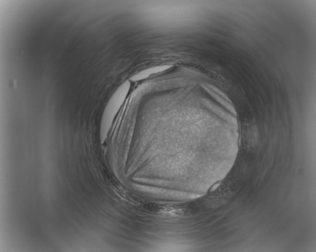 X0000066490760200604141656
