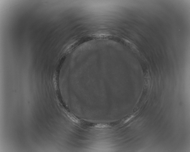 X0000066490762200604141656