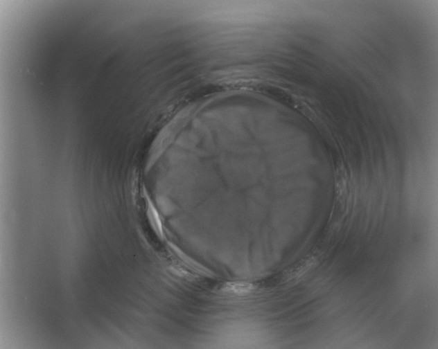 X0000066490767200604141656