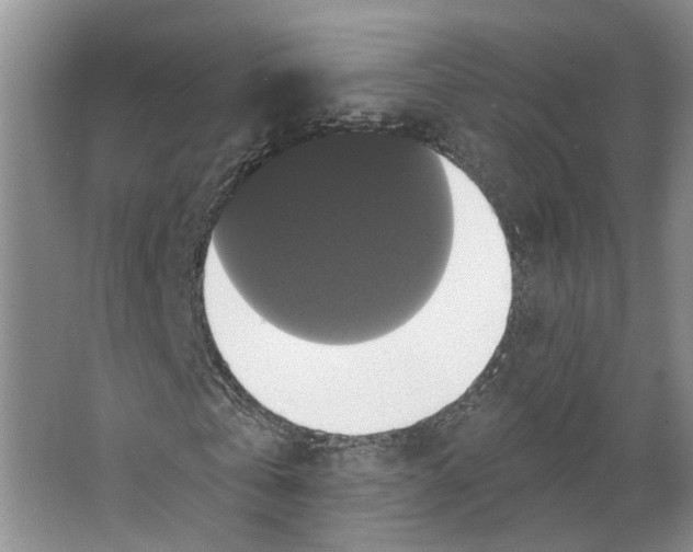 X0000066490769200604141656