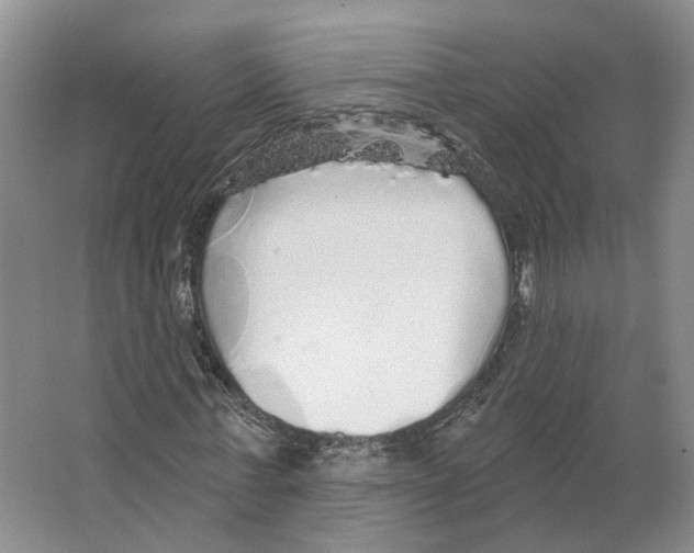 X0000066490771200604141656