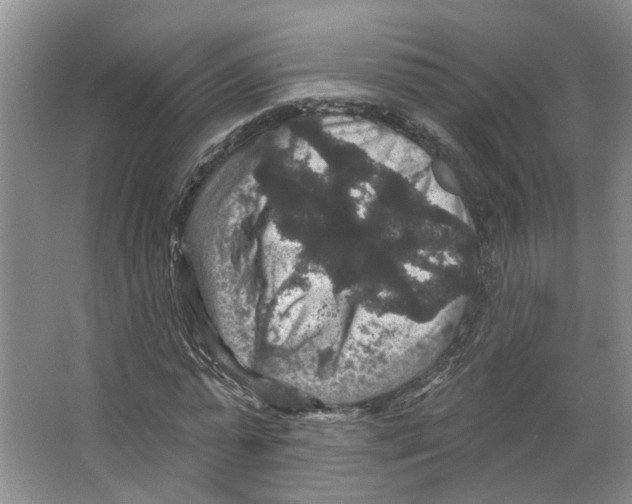 X0000066490775200604141655