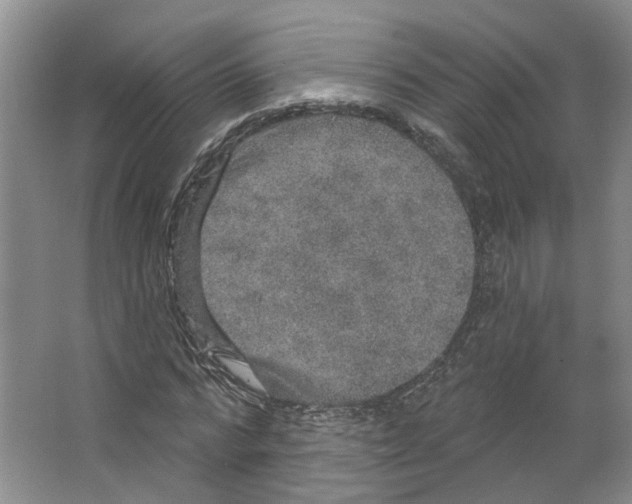 X0000066490776200604141655