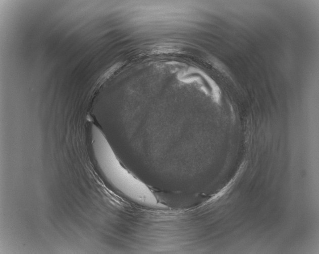 X0000066490777200604141655