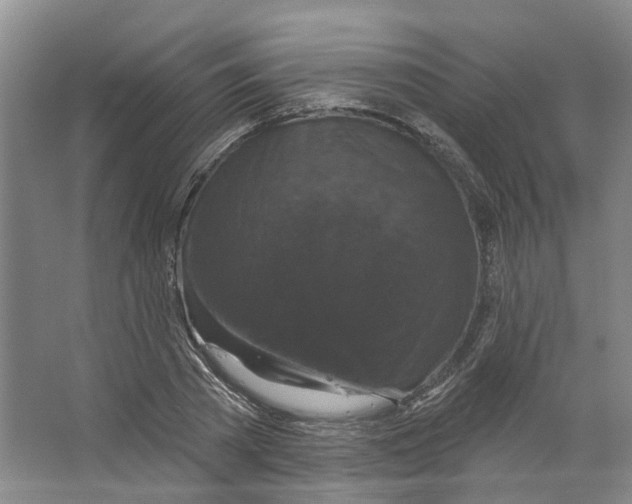 X0000066490785200604141655