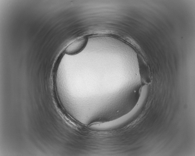 X0000066490787200604141655