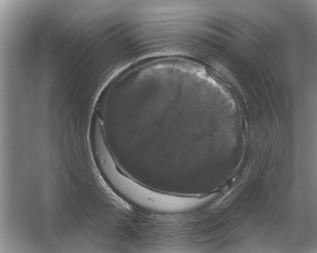 X0000066490797200604141655