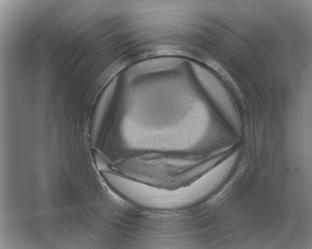 X0000066490801200604141655