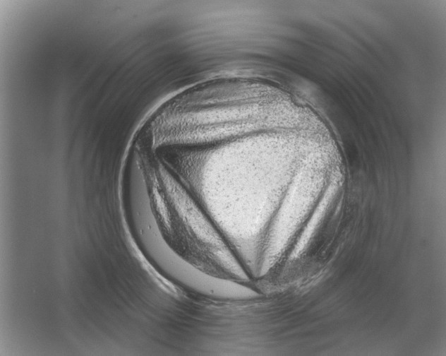 X0000066490803200604141655