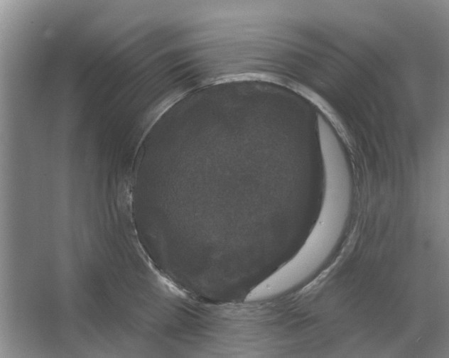 X0000066490809200604141655