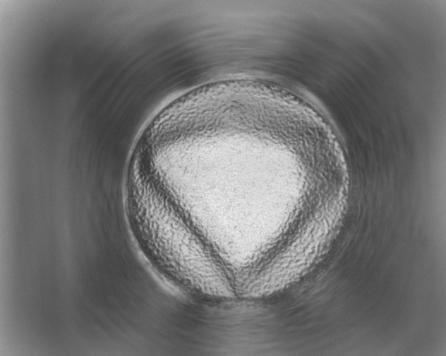 X0000066490811200604141655