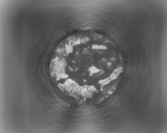 X0000066490817200604141654