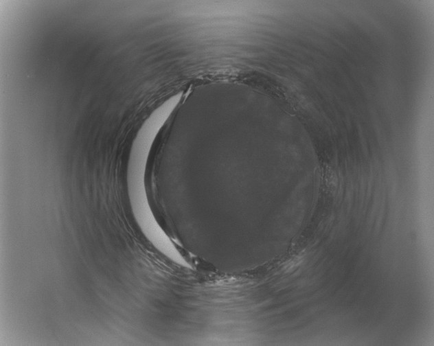 X0000066490818200604141654