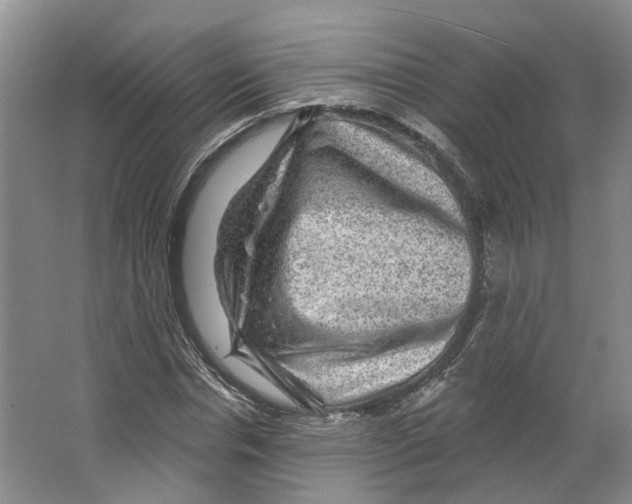 X0000066490826200604141654