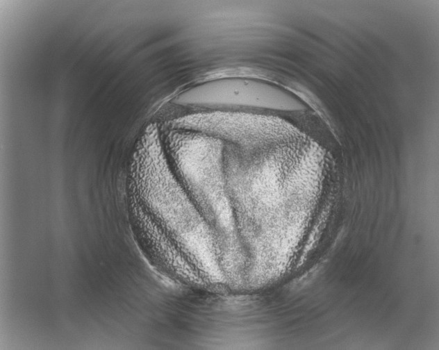X0000066490849200604141654