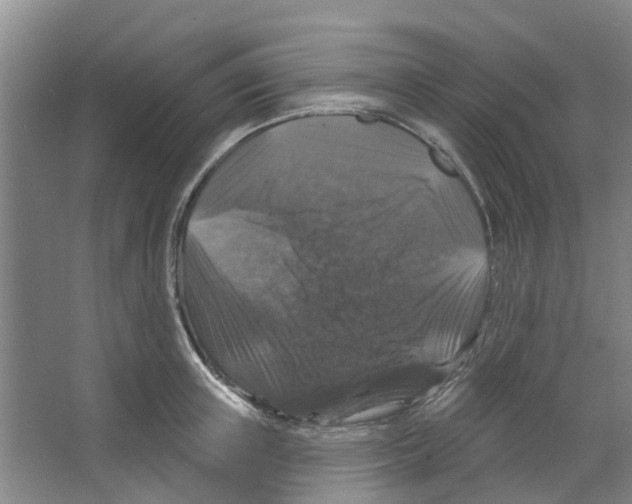 X0000066490851200604141655
