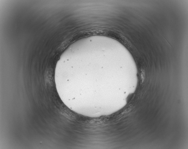 X0000066490867200604141654