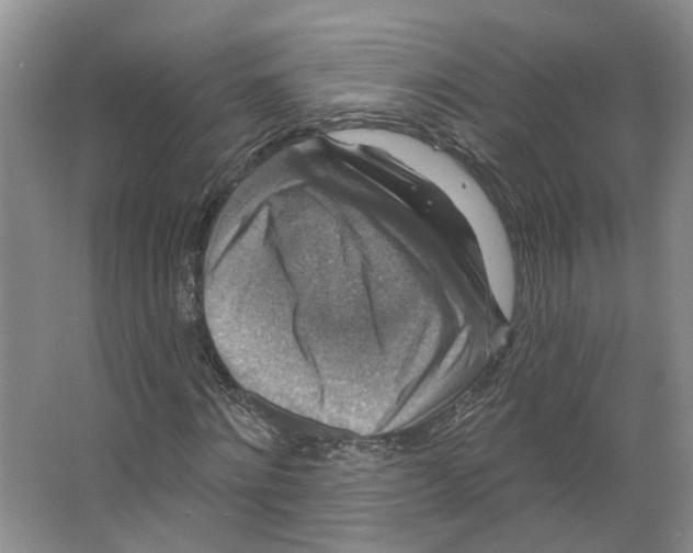 X0000066490868200604141654
