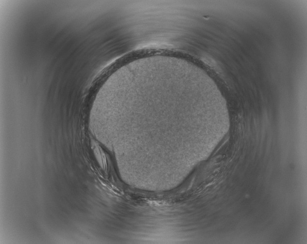 X0000066490872200604141654