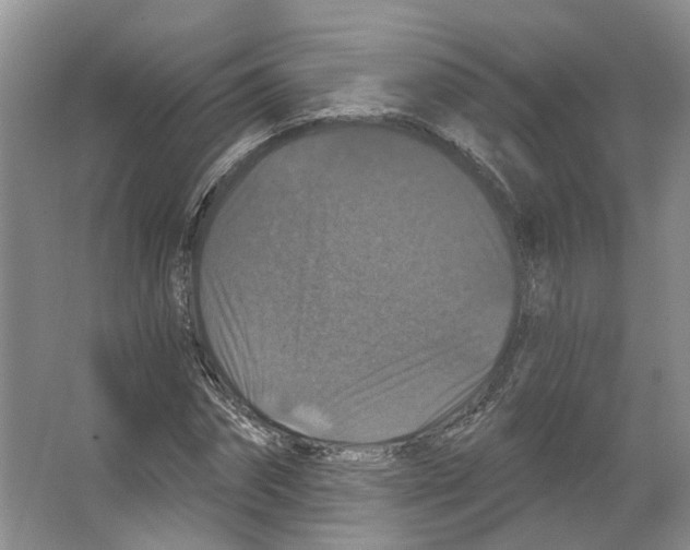 X0000066490874200604141654