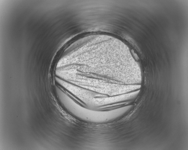 X0000066490876200604141654