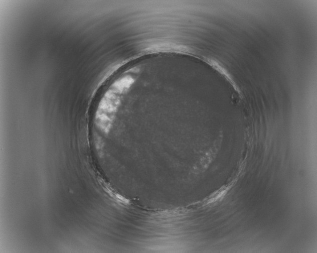 X0000066490877200604141654