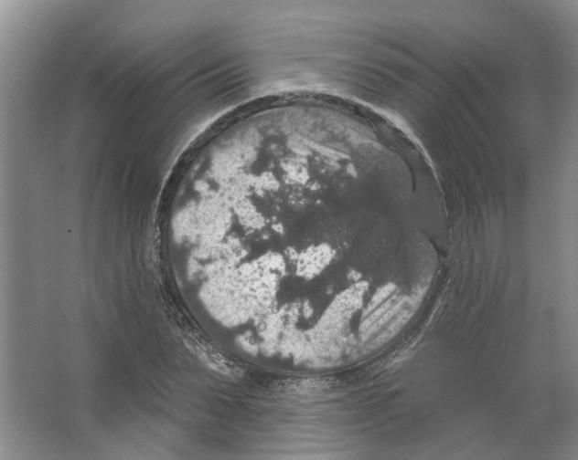 X0000066490879200604141654