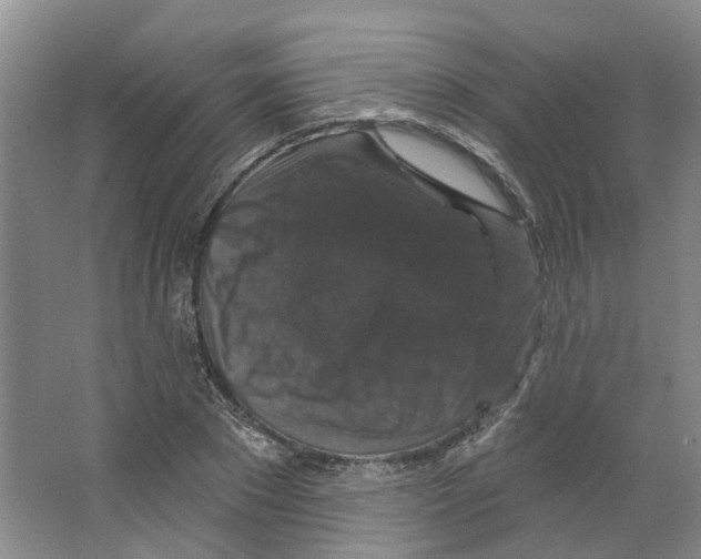 X0000066490881200604141654