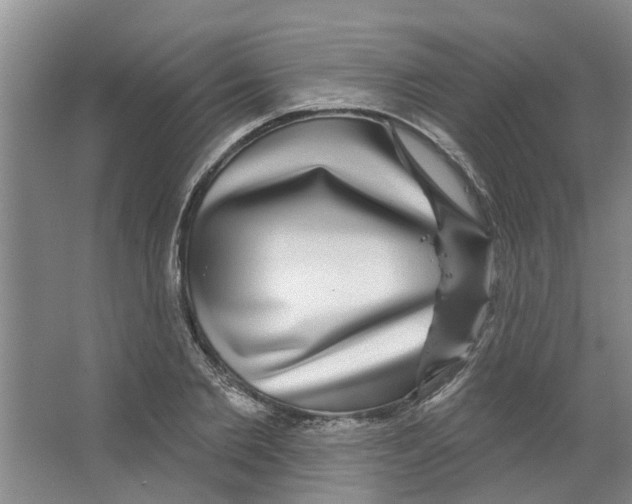 X0000066490885200604141654