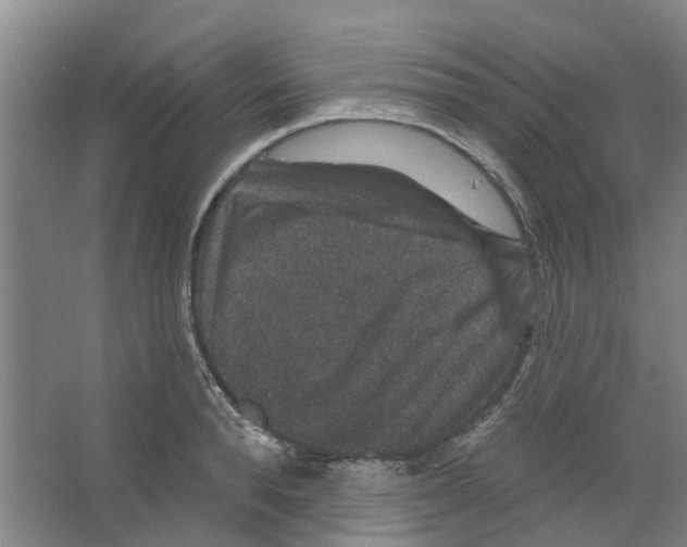 X0000066490896200604141653