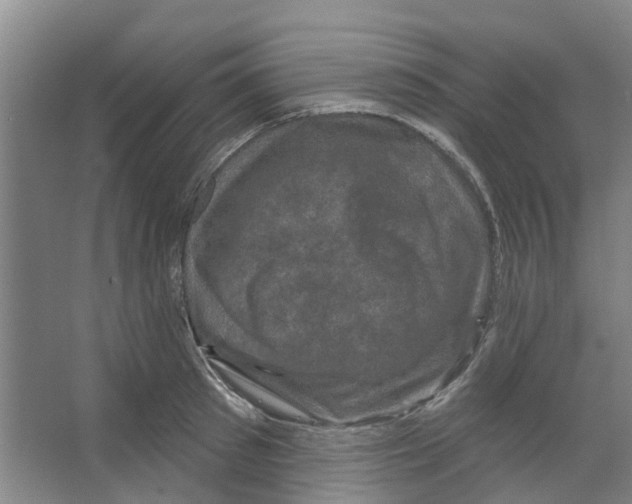 X0000066490897200604141653