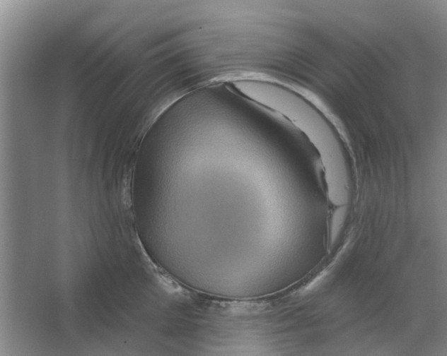 X0000066490905200604141653