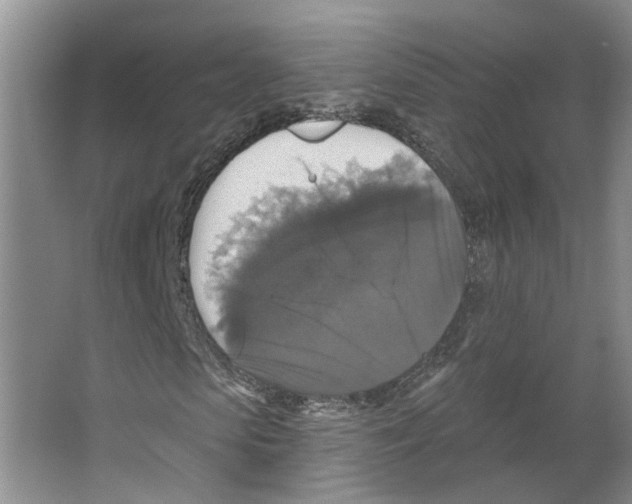 X0000066490913200604141652