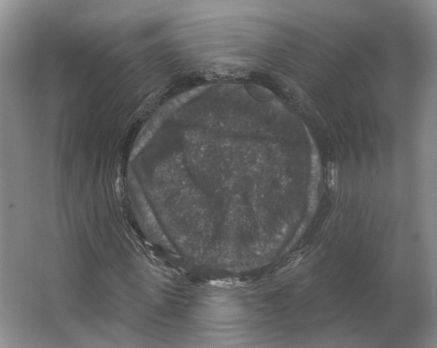 X0000066490915200604141652