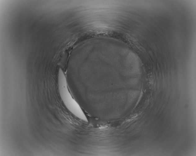 X0000066490916200604141652