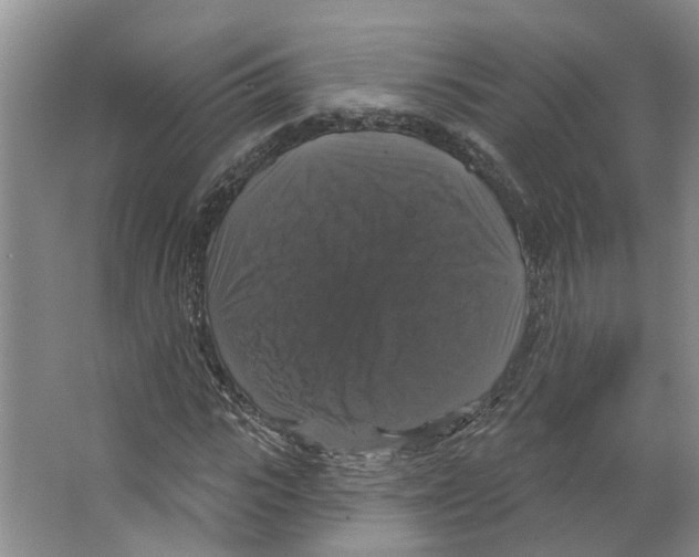 X0000066490919200604141652