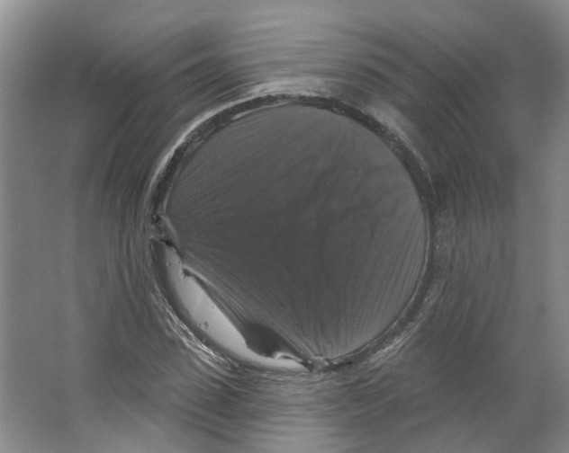 X0000066490923200604141653