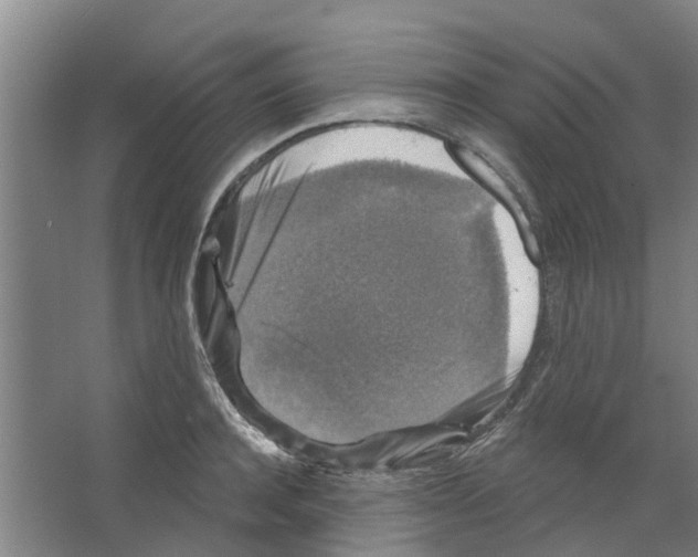 X0000066490944200604141653