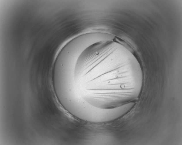 X0000066490960200604141653