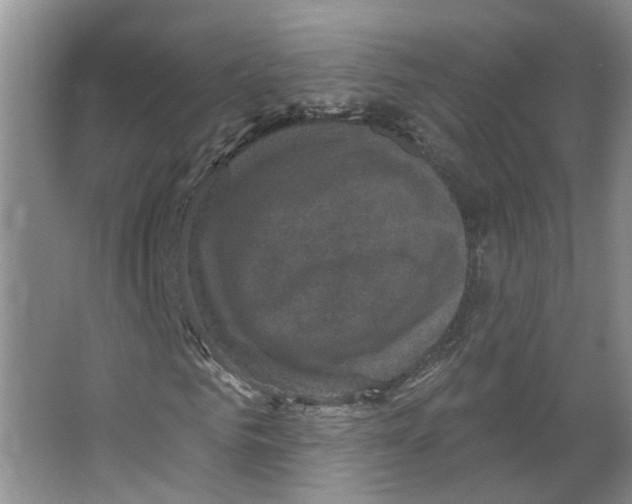 X0000066490961200604141652
