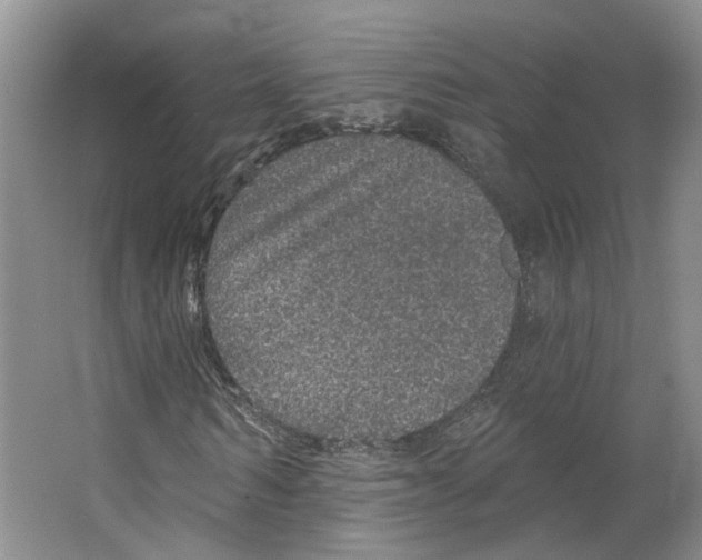 X0000066490962200604141652