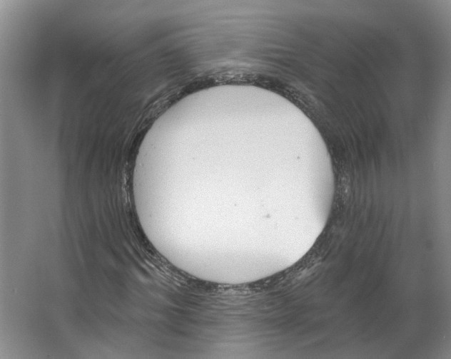 X0000066490964200604141652