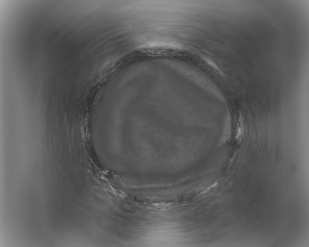 X0000066490965200604141652