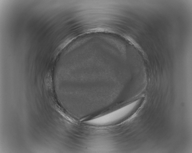 X0000066490969200604141652