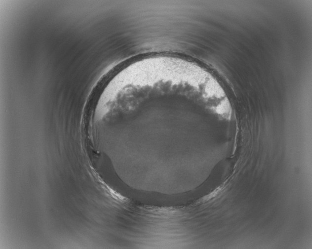 X0000066490975200604141652