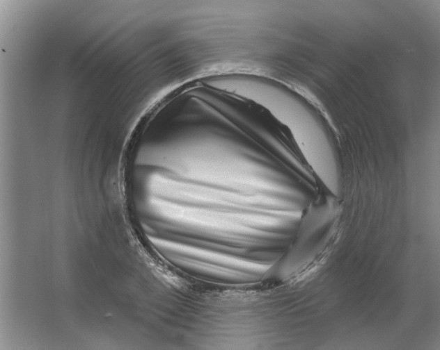 X0000066490981200604141652
