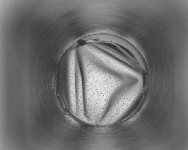 X0000066491001200604141652